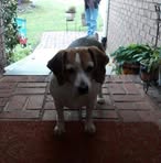 Leanne Carl - Facebook