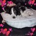 Leanne Carmichael - Facebook