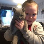 Leanne Carson - @leannecarson3 - Instagram