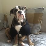 Leanne Casey-McKee - @l.casey1982 - Instagram