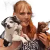 Dog Mom crafting - @leannechambers41 - TikTok
