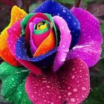 Leanne Charles - Facebook