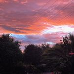 Leanne Cheney - @leannegail0579 - Instagram