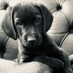 Leanne Clements - @elsieclem - Instagram