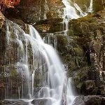 @leannecoffman - Instagram