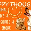 HAPPY THOUGHTS: Animal goodies - @leannecollier98 - TikTok