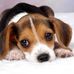 Leanne Colvin - Facebook