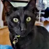 leanneconnolly973 - @leanneconnolly973 - TikTok