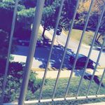 Leanne Conway - @evergreen_sunflower_724 - Instagram