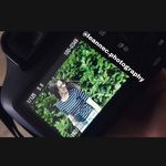 Leanne Costa Fotografie - @leannecfotografie - Instagram