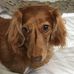Leanne Dawson - Facebook