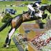 Leanne Dobson Freelance Rider and Horse Trainer - Facebook