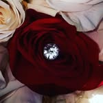 Leanne Donovan - @leanne2448 - Instagram