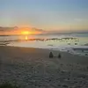 Leanne Reddy - @leanne.reddy - TikTok