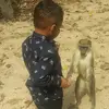 leanneellison27 - @leanneellison27 - TikTok