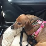 @leanne_ennis6 - Instagram