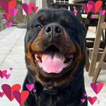 Leanne Farmer - @leannefarmer72 - Instagram