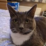 Leanne Flanagan - @tomsmum84 - Instagram