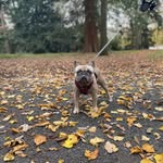 Leanne Flanagan - @leannie.kirbs - Instagram