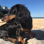 Leanne Forster - @lola_forster - Instagram