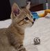 Leanne Obersig Franklin - Facebook