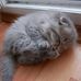 Leanne Goddard - Facebook