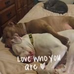 Leanne Ferry Hancock - @lih72 - Instagram