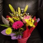 Leanne Hardy - @leanne.hardy.50 - Instagram