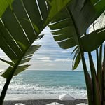 Leanne Hawkins - @wellness_wonderlust_co - Instagram