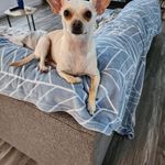 Leanne Hebert - @leanne.hebert.5 - Instagram