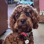 Leanne Herbert - @leanne_h.2024 - Instagram