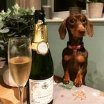 Leanne Herbert - @nelliechipolata - Instagram