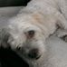 Leanne Hill - Facebook