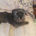 Leanne Keith - Facebook