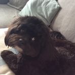 Leanne Kemp - Facebook