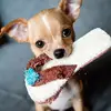 Leanne Kidd - @2163717543 - TikTok