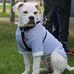 Leanne Kiernan - Facebook