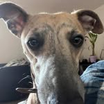Leanne Lake - @bling2842 - Instagram