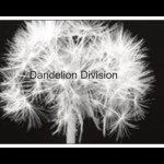 Leanne Leonard - @dandeliondivision - Instagram