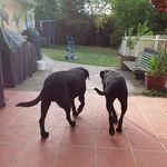 Leanne McArthur - @mcarthurleanne - Instagram