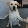 Leanne McConnell - @leannemcconnell1 - TikTok