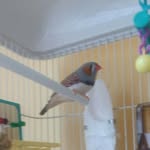 Léanne Michaud - @leannemichaud2006 - Instagram