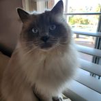 Leanne Mitchell - Facebook
