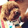 Leanne Ng - @2148105512 - TikTok