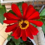 Leanne Ogden - @instaleanneoggy - Instagram
