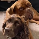 Leanne Ogden Williams - @leanne75new - Instagram