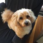 Leanne Pugh - @lgp5560 - Instagram