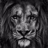 Queen_Leanne💓 - @queen_leanne1 - TikTok