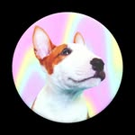 Leanne Rea - @c02436 - Instagram