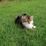 Leanne Read - @leanne.read.378 - Instagram